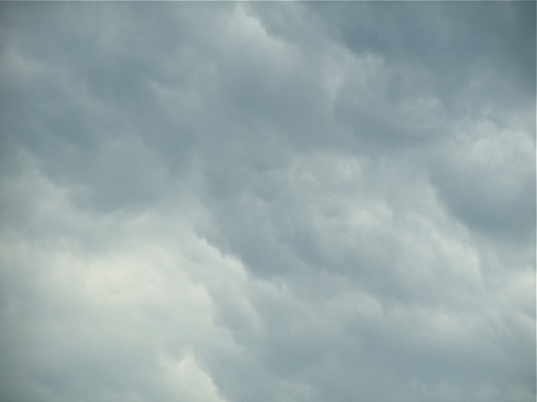 DSCF7359.jpg
