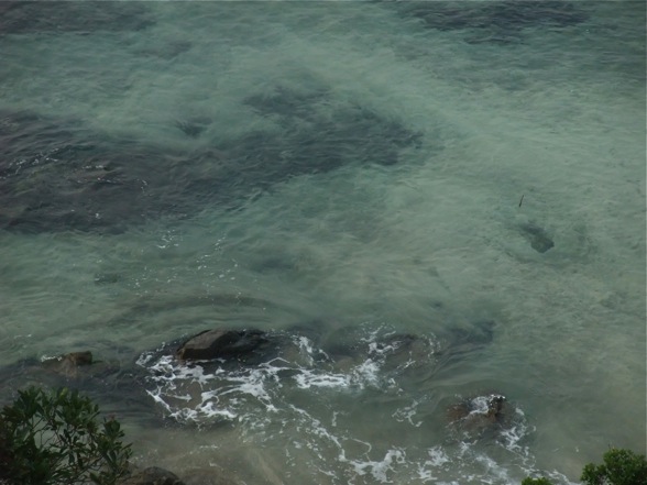 DSCF7428.jpg