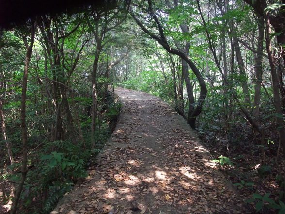 DSCF7441.jpg