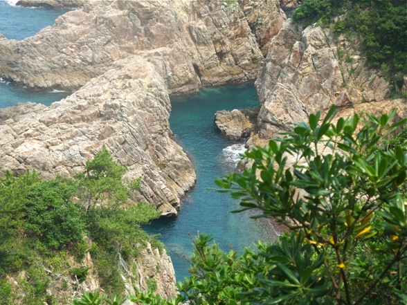 DSCF7445.jpg