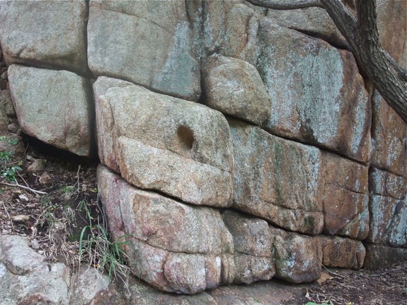 DSCF7448.jpg
