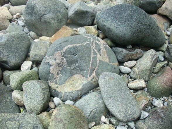 DSCF7484.jpg
