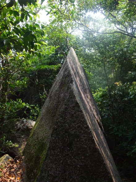 DSCF7512.jpg