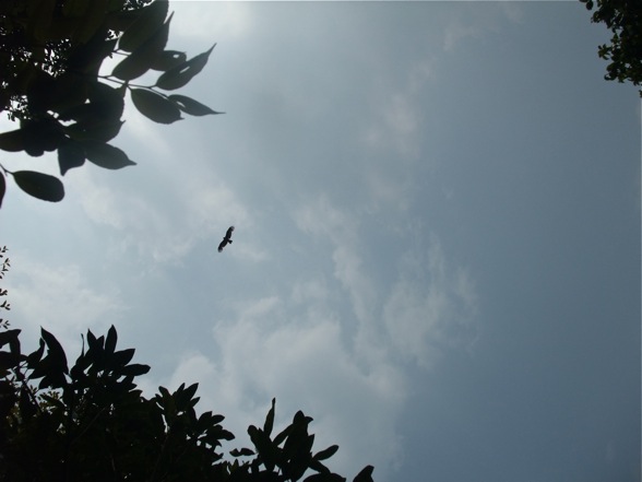 DSCF7527.jpg