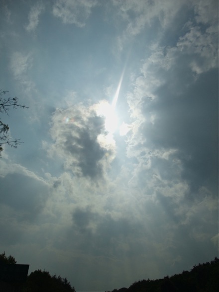 DSCF7534.jpg