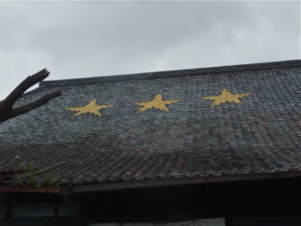 DSCF7563.jpg