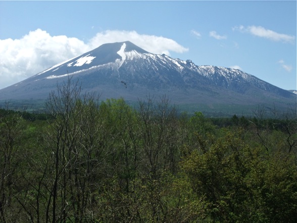 DSCF7794.jpg