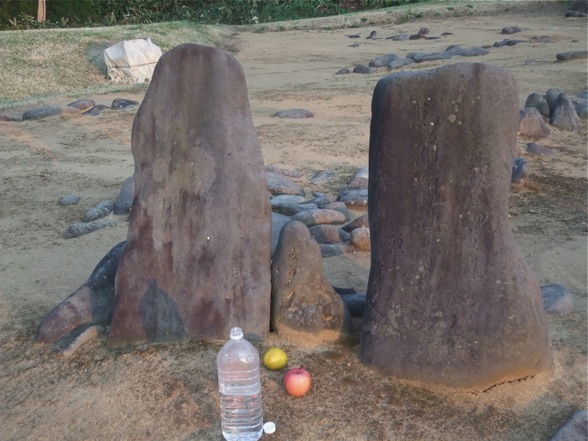 DSCF7871.jpg