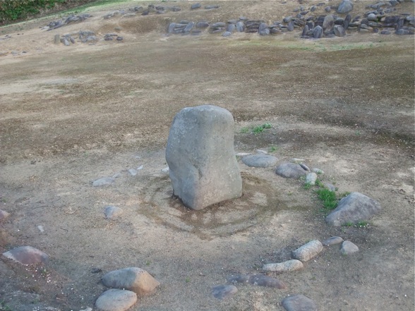 DSCF7872.jpg