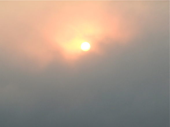 DSCF7914.jpg