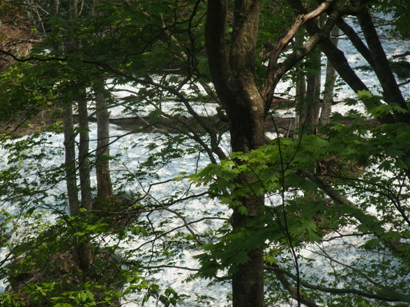 DSCF7924.jpg
