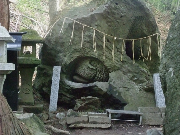 DSCF7932.jpg