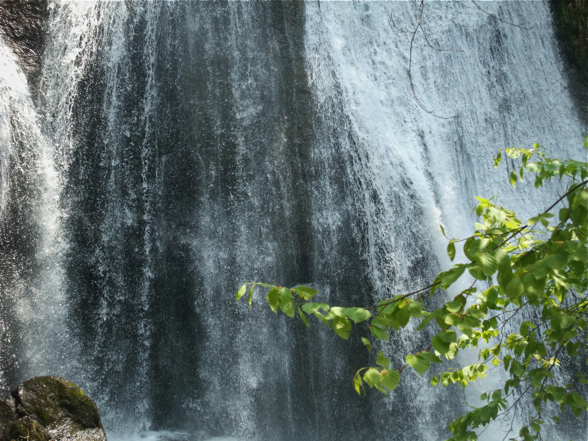 DSCF7936.jpg