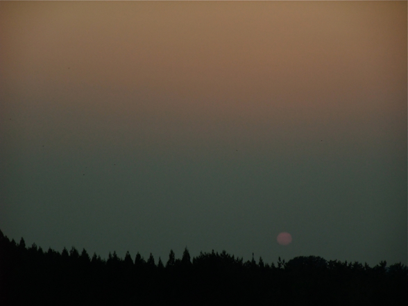 DSCF7973.jpg