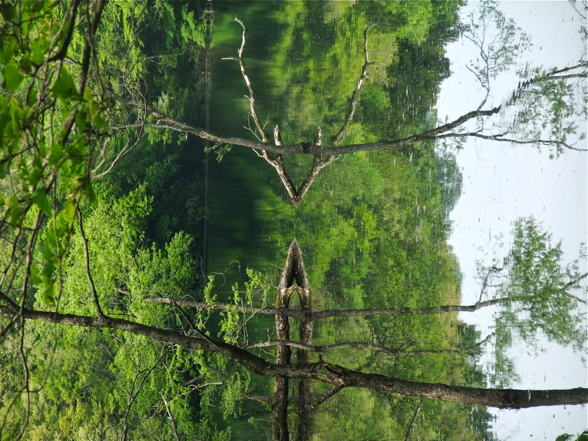DSCF7998.jpg