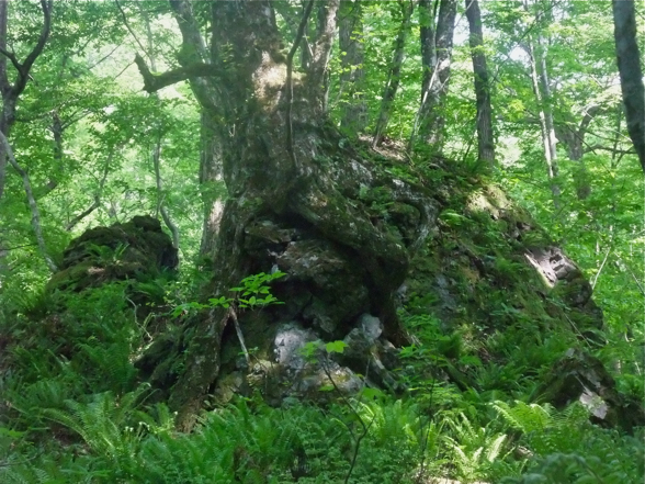 DSCF8012.jpg