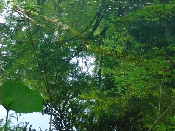 DSCF8016.jpg