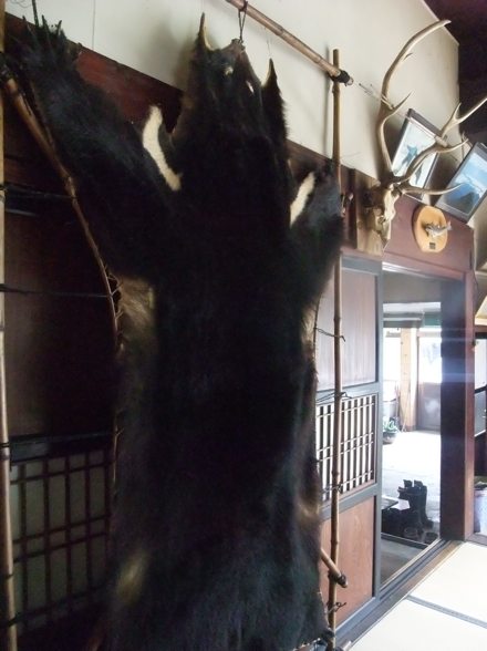 DSCF8128.jpg