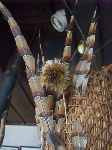DSCF8136.jpg
