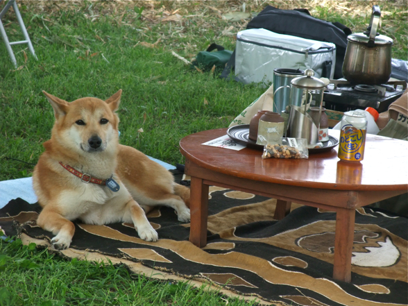 DSCF8182.jpg