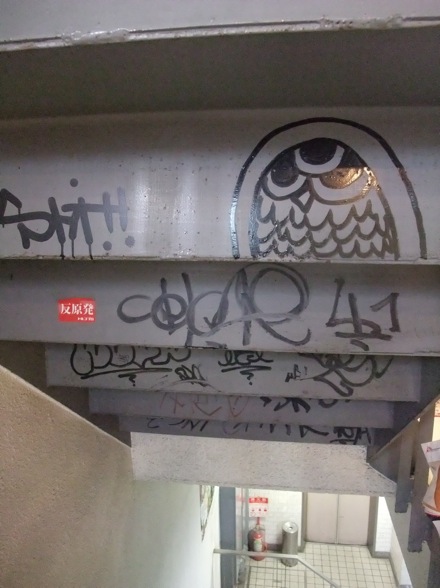 DSCF8255.jpg