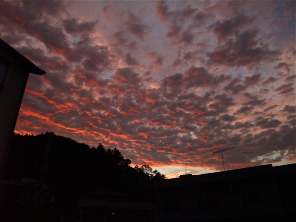 DSCF8492.jpg