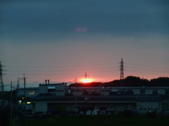 DSCF8530.jpg