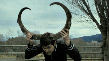 2010041518310000.jpg