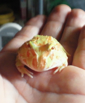 2010061918530000.jpg
