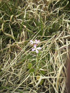 2011031714310000.jpg