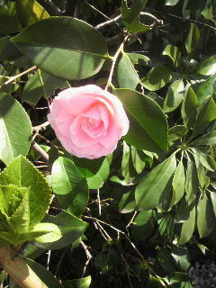 2011032512420000.jpg