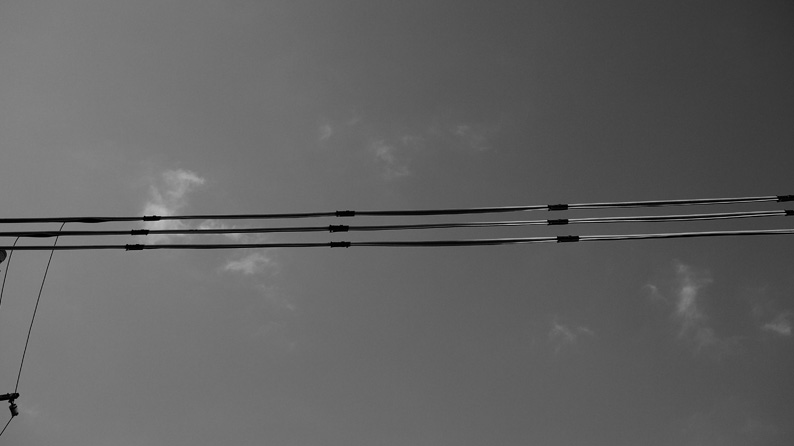 P1200769.jpg