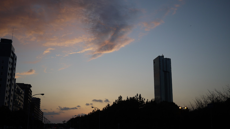 P1210020.jpg