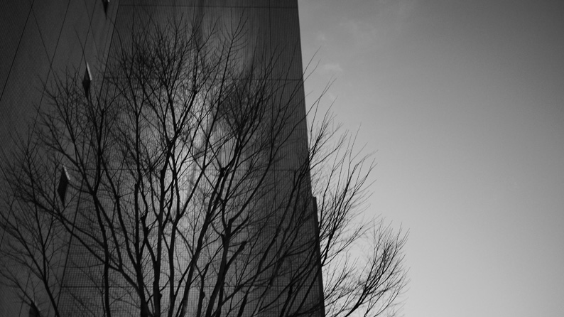 P1210082.jpg