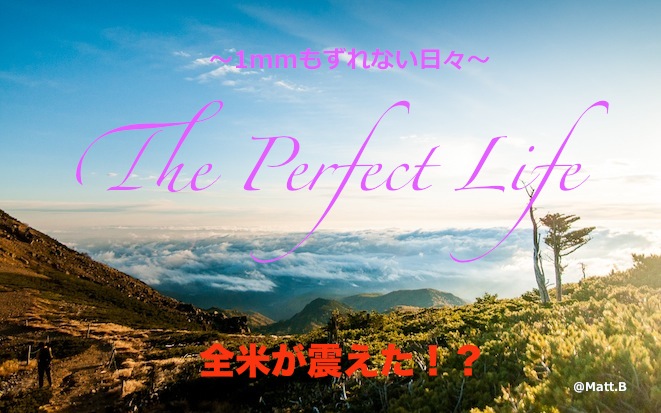 「The Perfect Life」.jpg