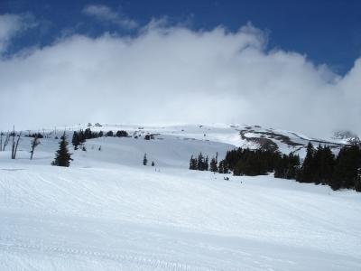 Mt.Hood