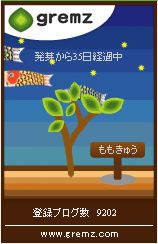 鯉のぼり3