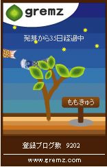 鯉のぼり4