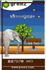 gremzキーワード ゾウ6