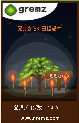 グリムスキャンドルナイト1