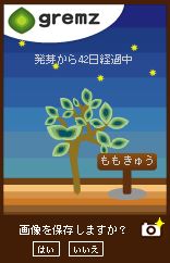 グリムスフォトスペース4