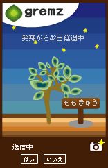 グリムスフォトスペース5