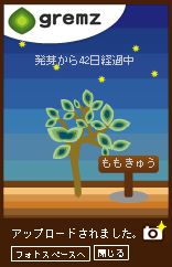 グリムスフォトスペース6