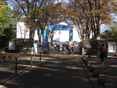 欅祭1日目2