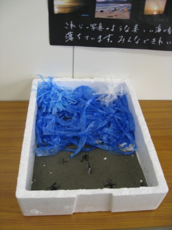 欅祭1日目4