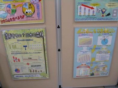 欅祭1日目14