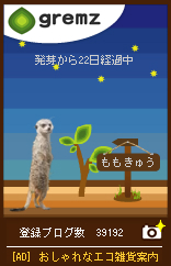 gremzミーアキャット3