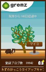 gremzグリムスキーワード