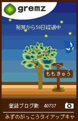 みずのがっこうキャンペーンその8