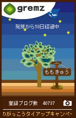 みずのがっこうキャンペーンその16